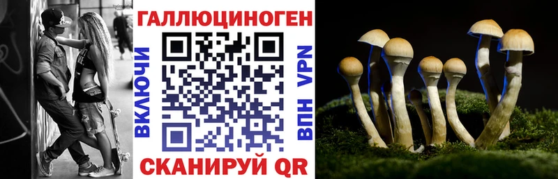 наркота  Себеж  Псилоцибиновые грибы Magic Shrooms 